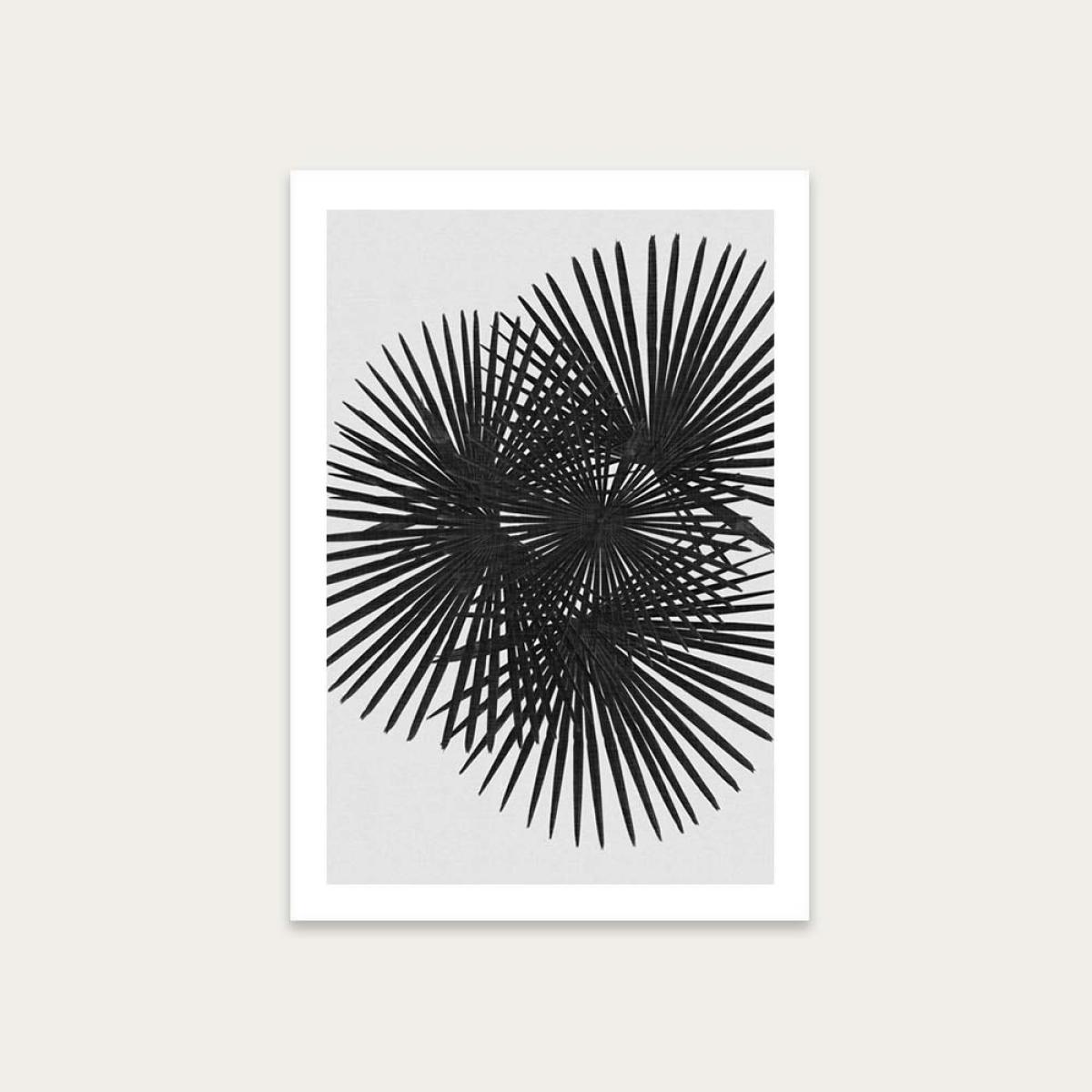 Fan Palm Black & White Art Print Unframed – image 1