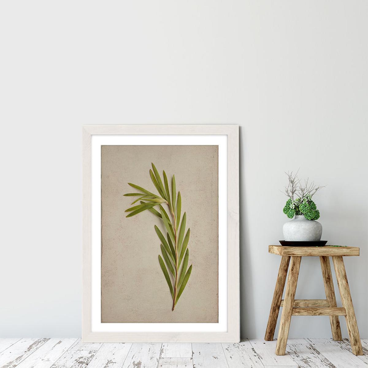 Fynbos 4 Art Print White Frame – image 6