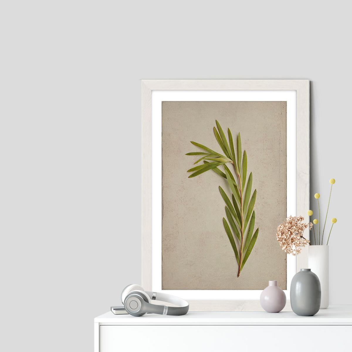 Fynbos 4 Art Print White Frame – image 7