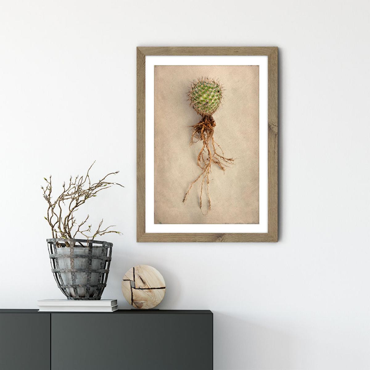 Succulent Study 6 Art Print Oak Frame – image 2