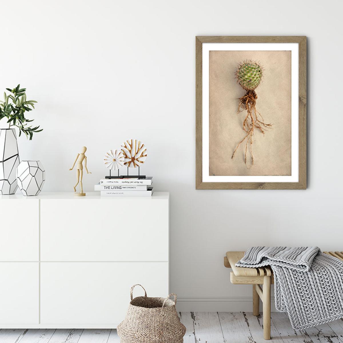 Succulent Study 6 Art Print Oak Frame – image 3
