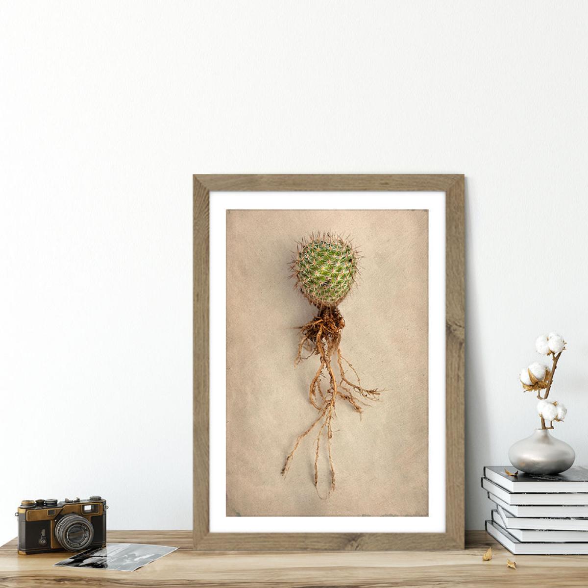 Succulent Study 6 Art Print Oak Frame – image 4