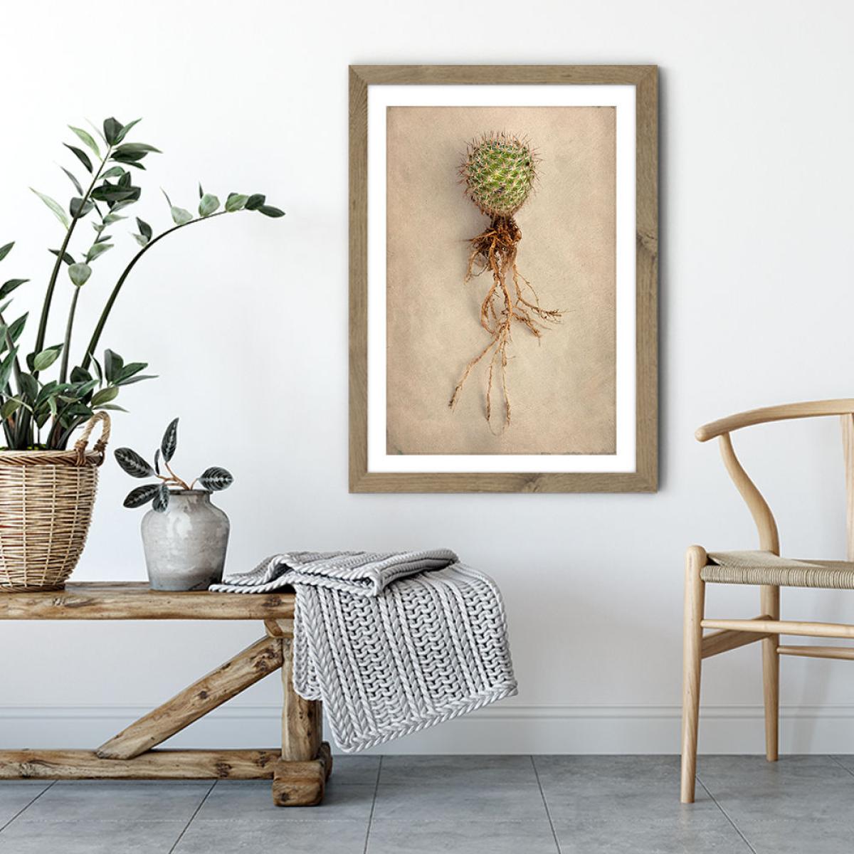 Succulent Study 6 Art Print Oak Frame – image 5