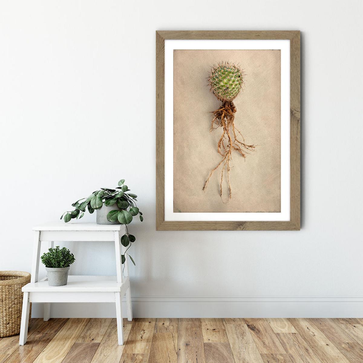 Succulent Study 6 Art Print Oak Frame – image 6