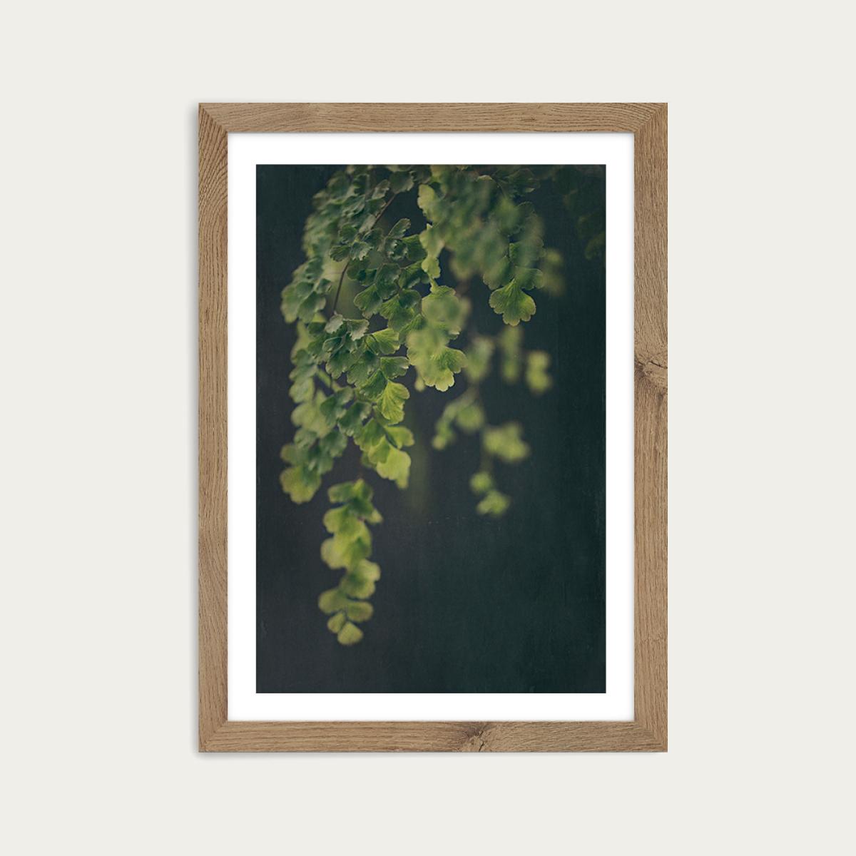 Dark Foliage 1 Art Print Oak Frame – image 1