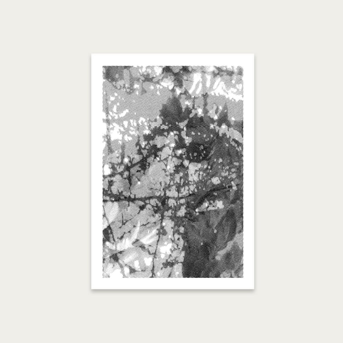 Research N°002 Art Print Unframed