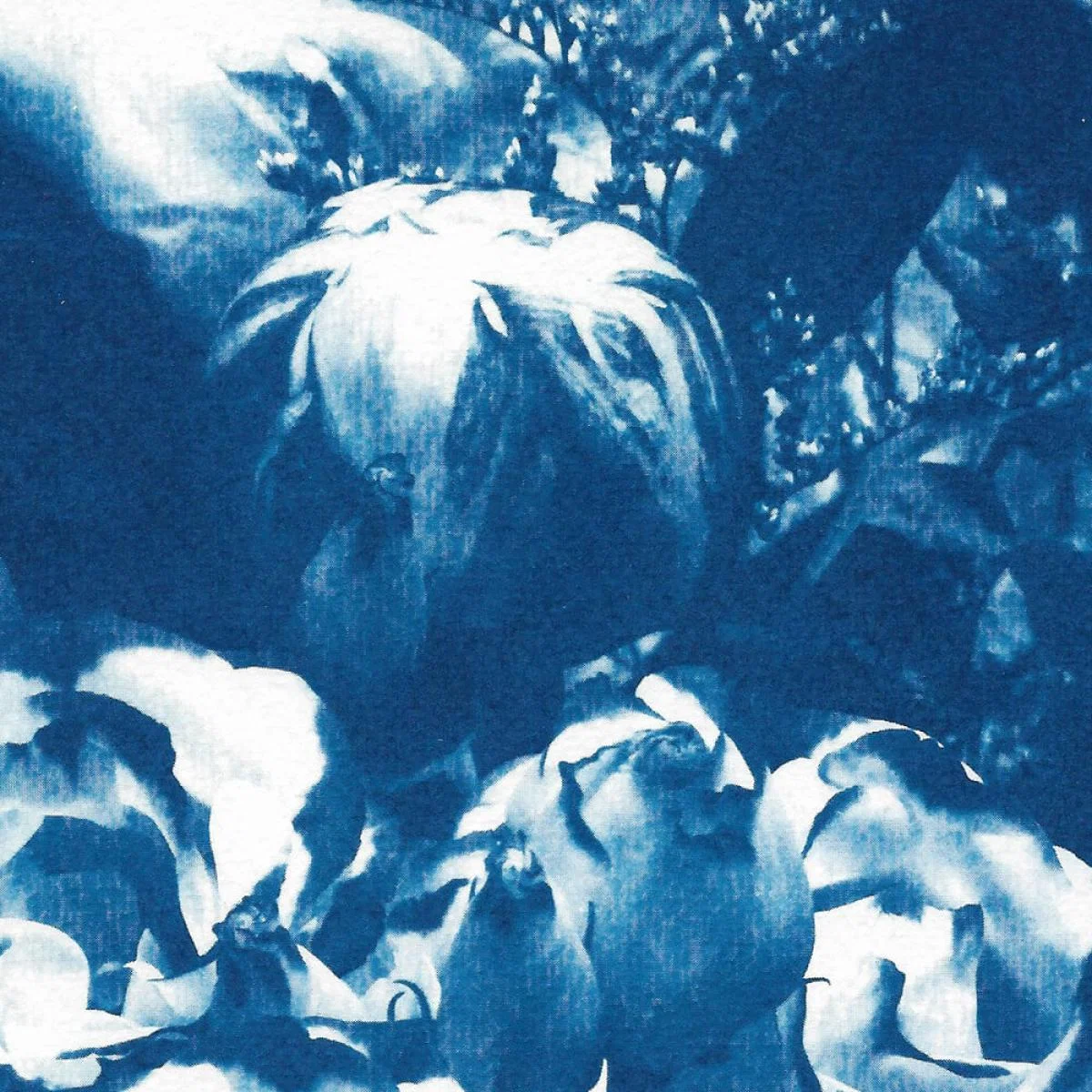 Blue Flowers Bouquet Handmade Cyanotype Art Print – image 6