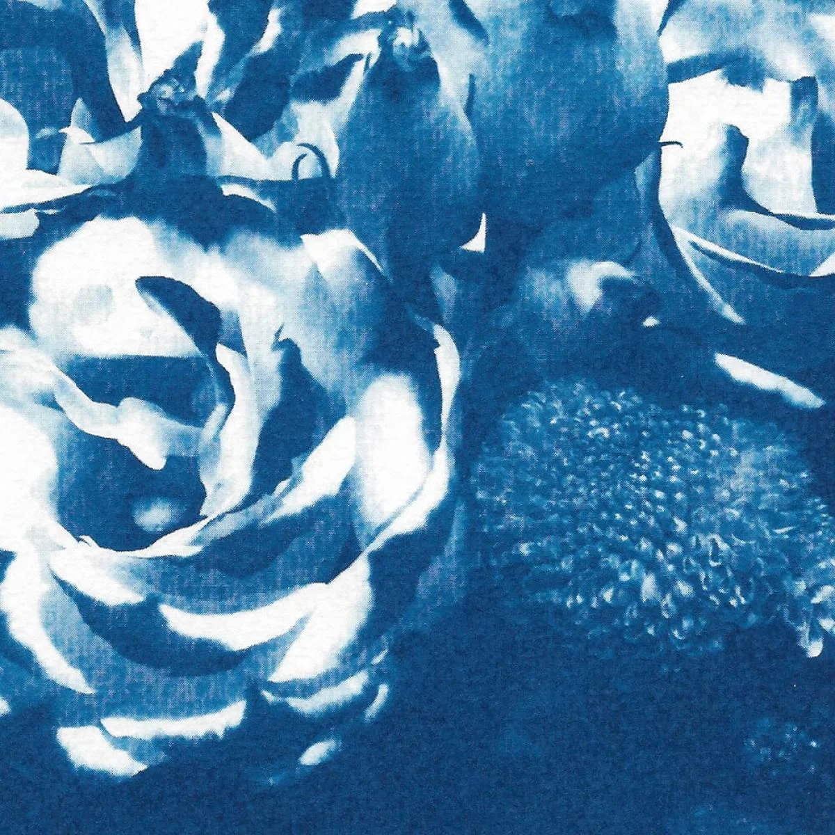 Blue Flowers Bouquet Handmade Cyanotype Art Print – image 7
