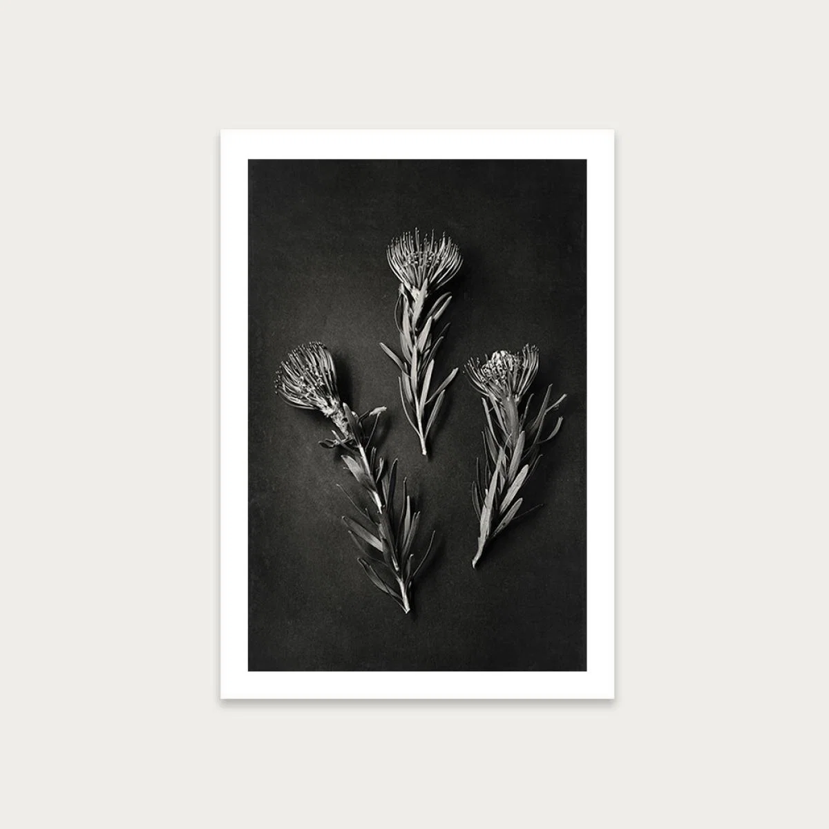 Monochrome Pins 1 Art Print Unframed