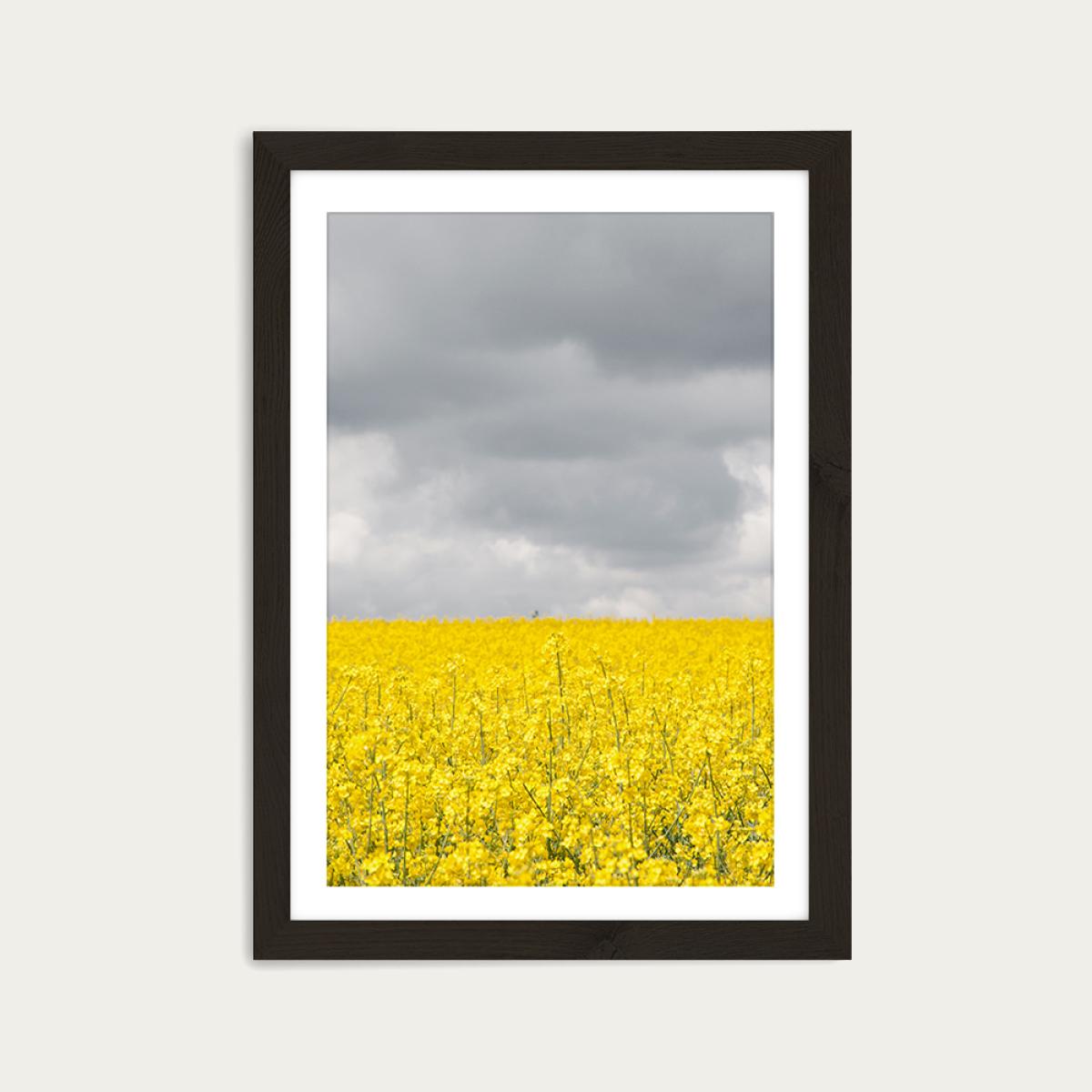 Grey and Yellow Fields Art Print Black Frame – image 1