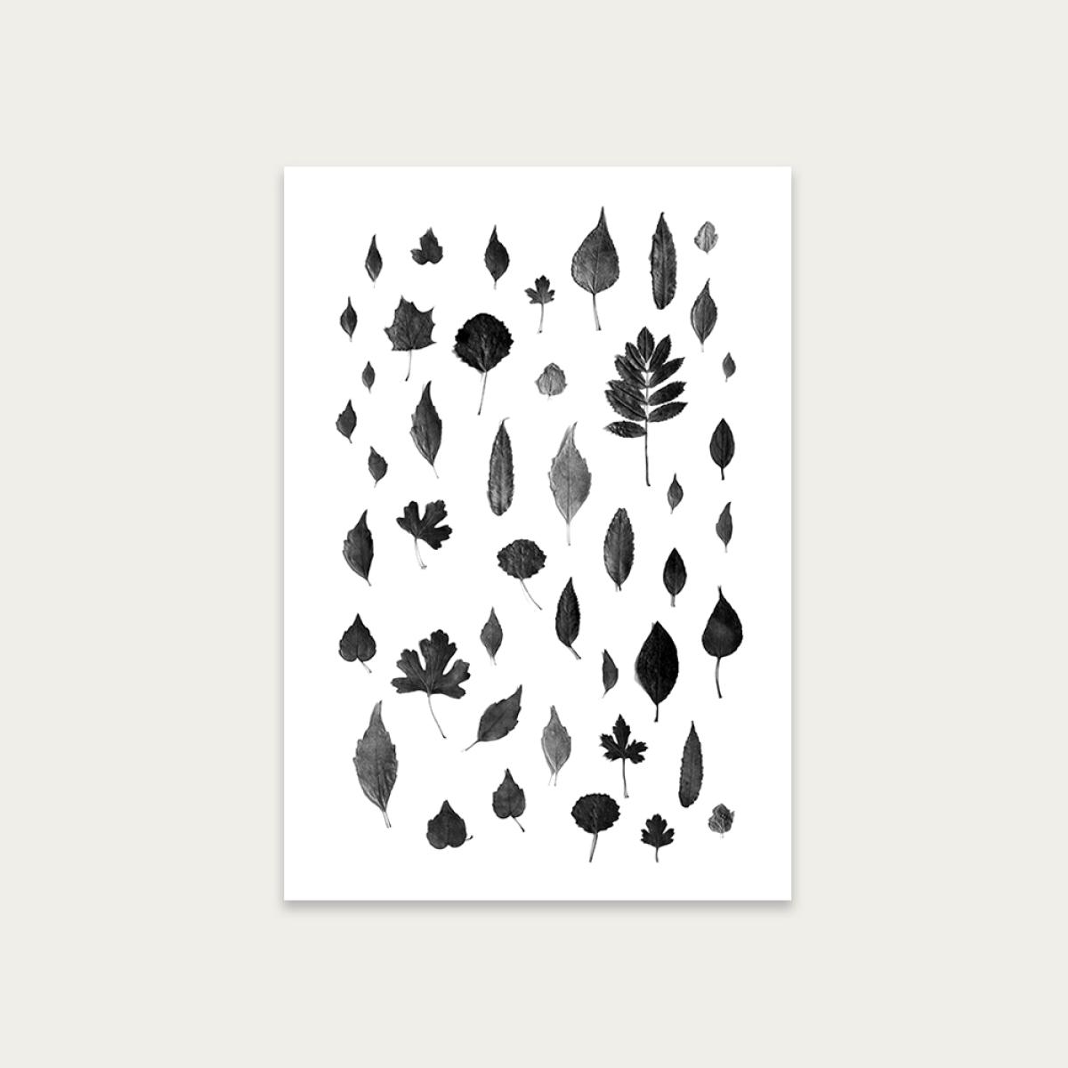 Signs of Autumn Black Art Print Unframed