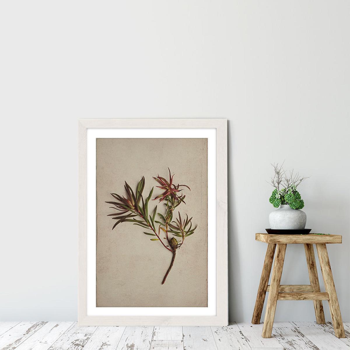 Fynbos 1 Art Print White Frame – image 5
