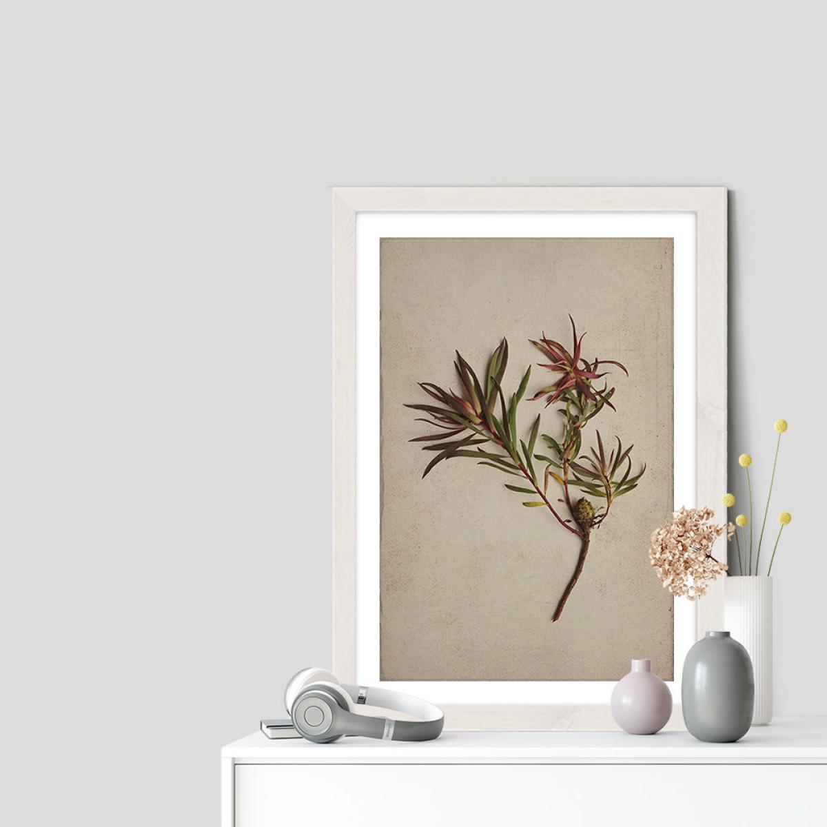 Fynbos 1 Art Print White Frame – image 7