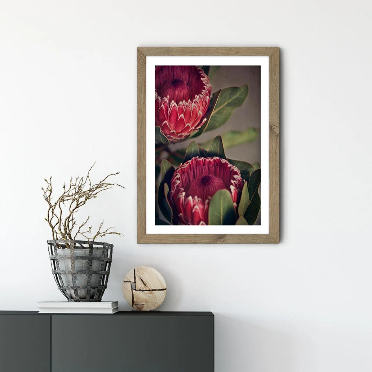 Red Protea 1 Art Print Oak Frame – image 3