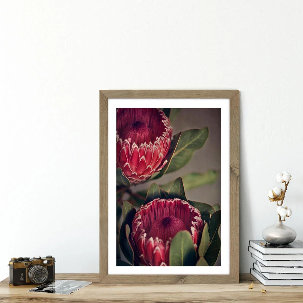 Red Protea 1 Art Print Oak Frame – image 4