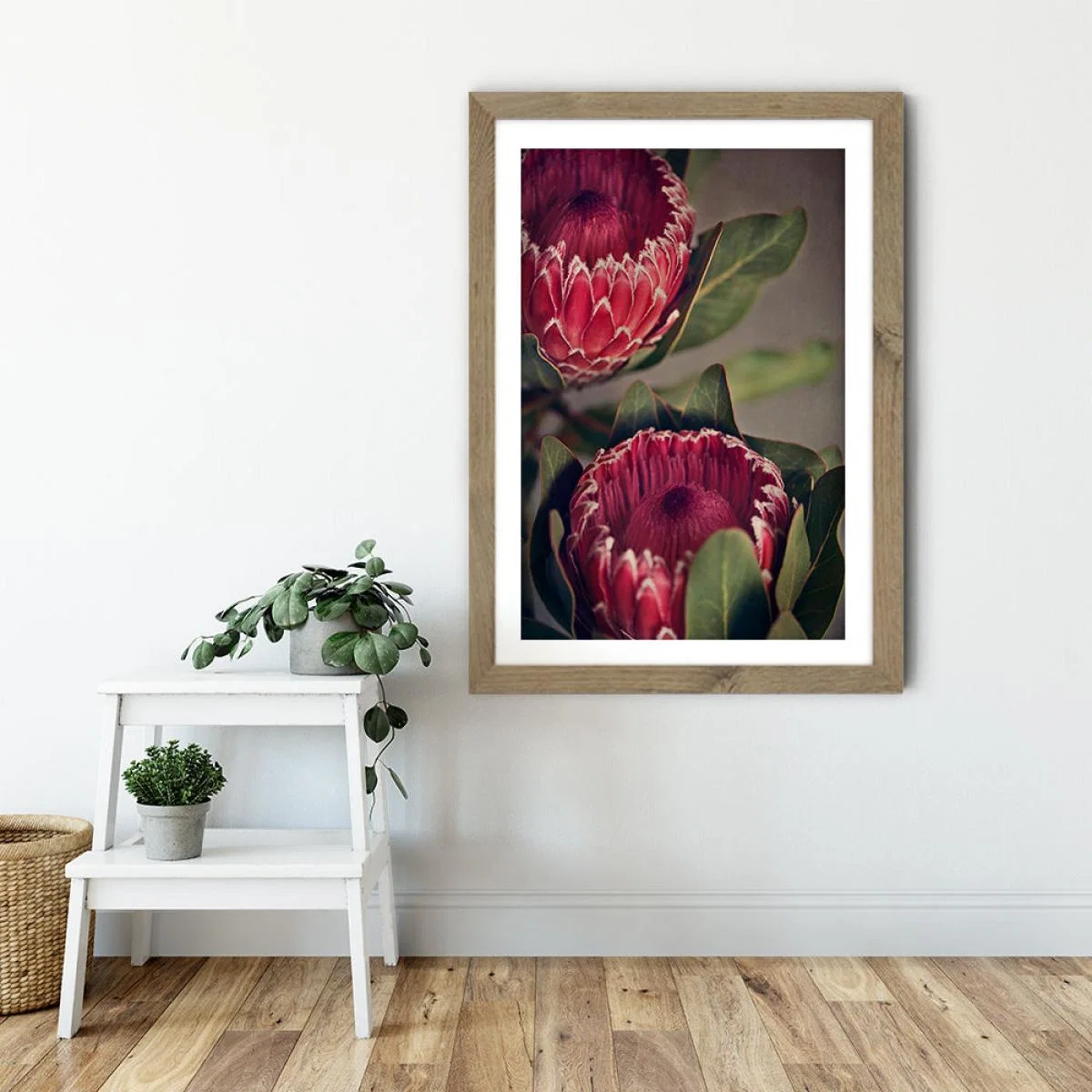 Red Protea 1 Art Print Oak Frame – image 5