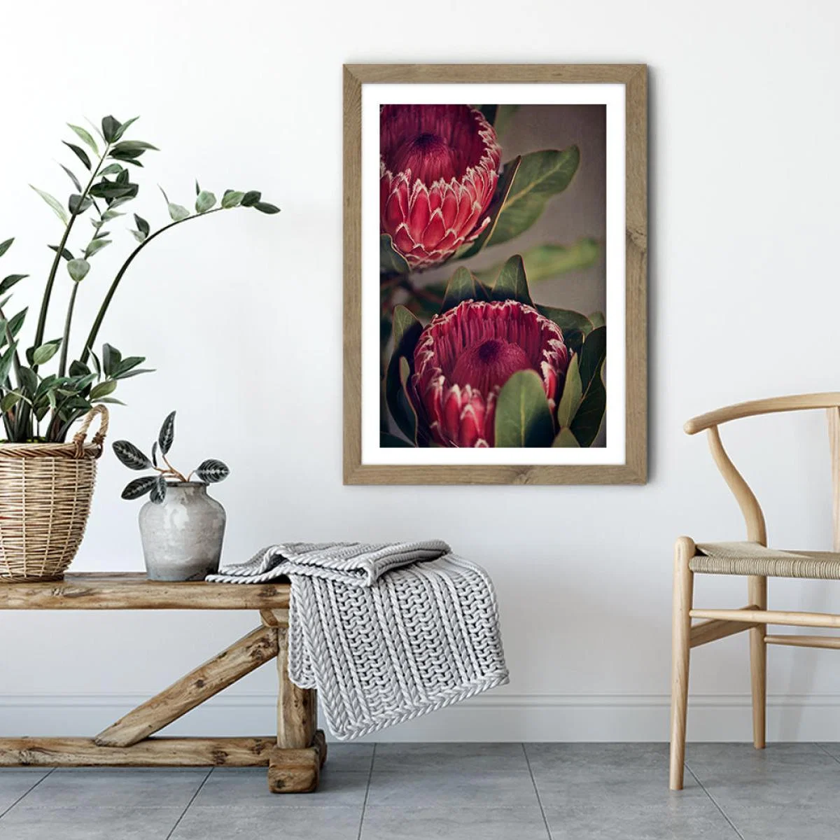 Red Protea 1 Art Print Oak Frame – image 6