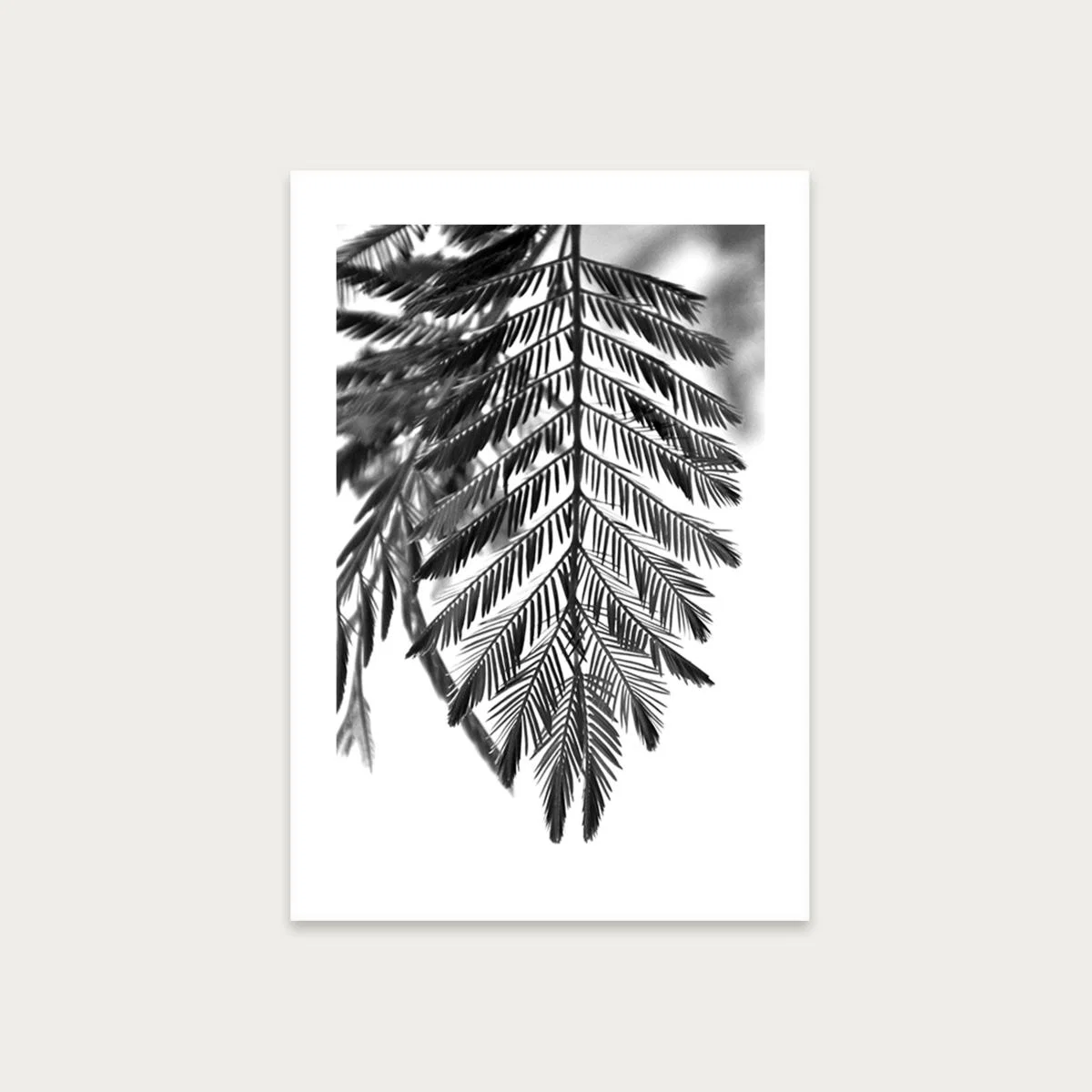 Delicate and Beautiful Plants Art Print Unframed