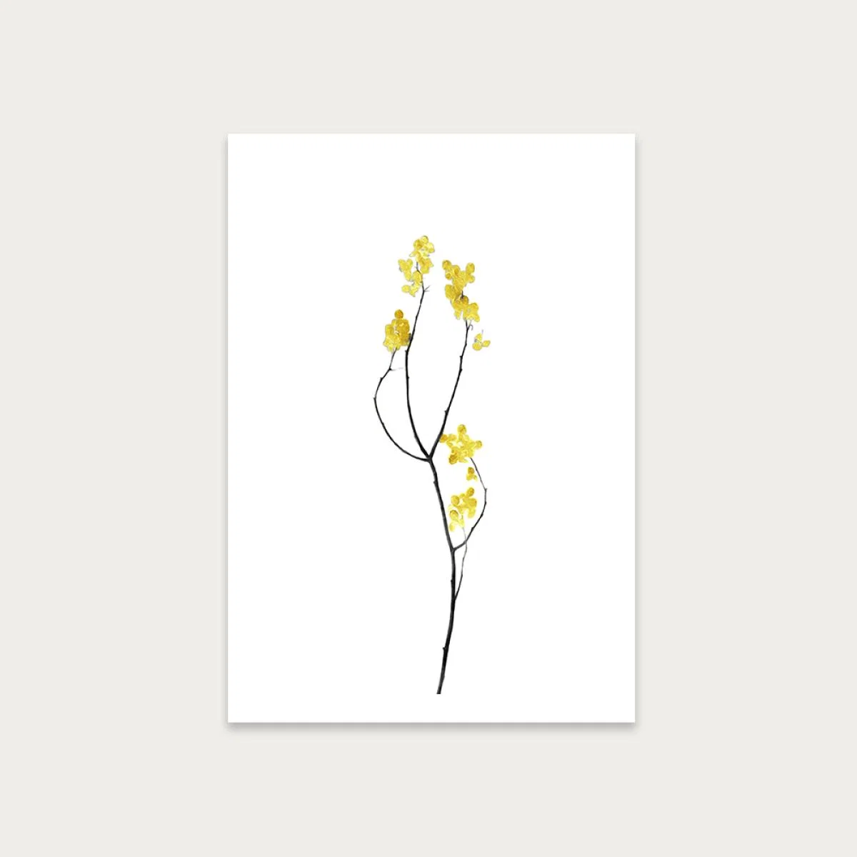 Flower Minimal Black and Gold 9 Art Print Unframed