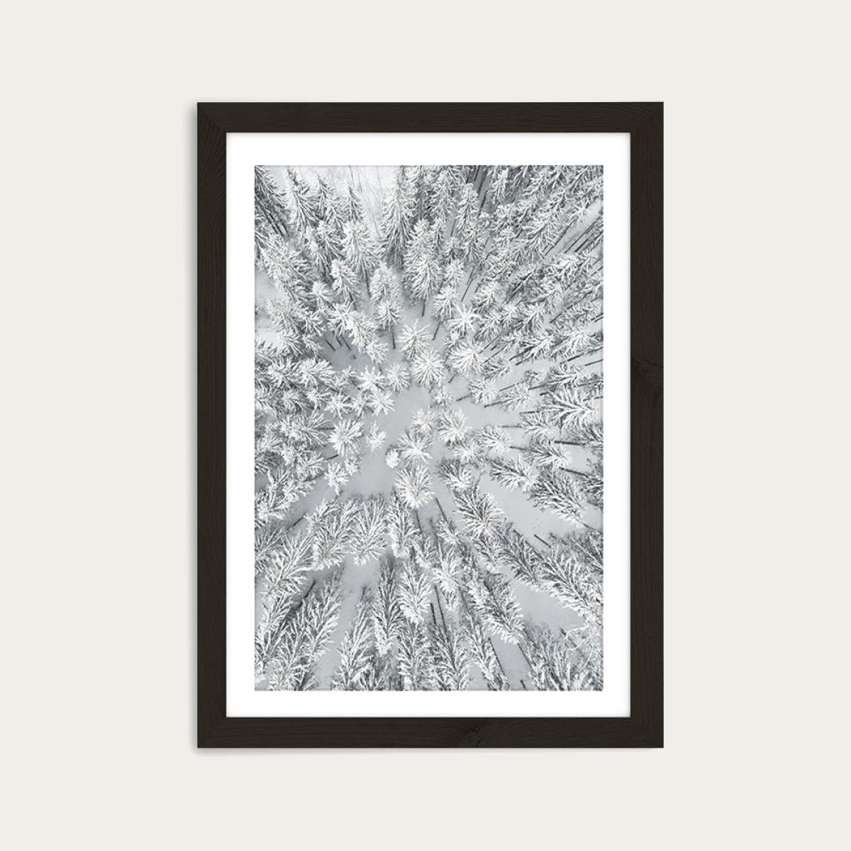 Snowy Forests Art Print Black Frame – image 1
