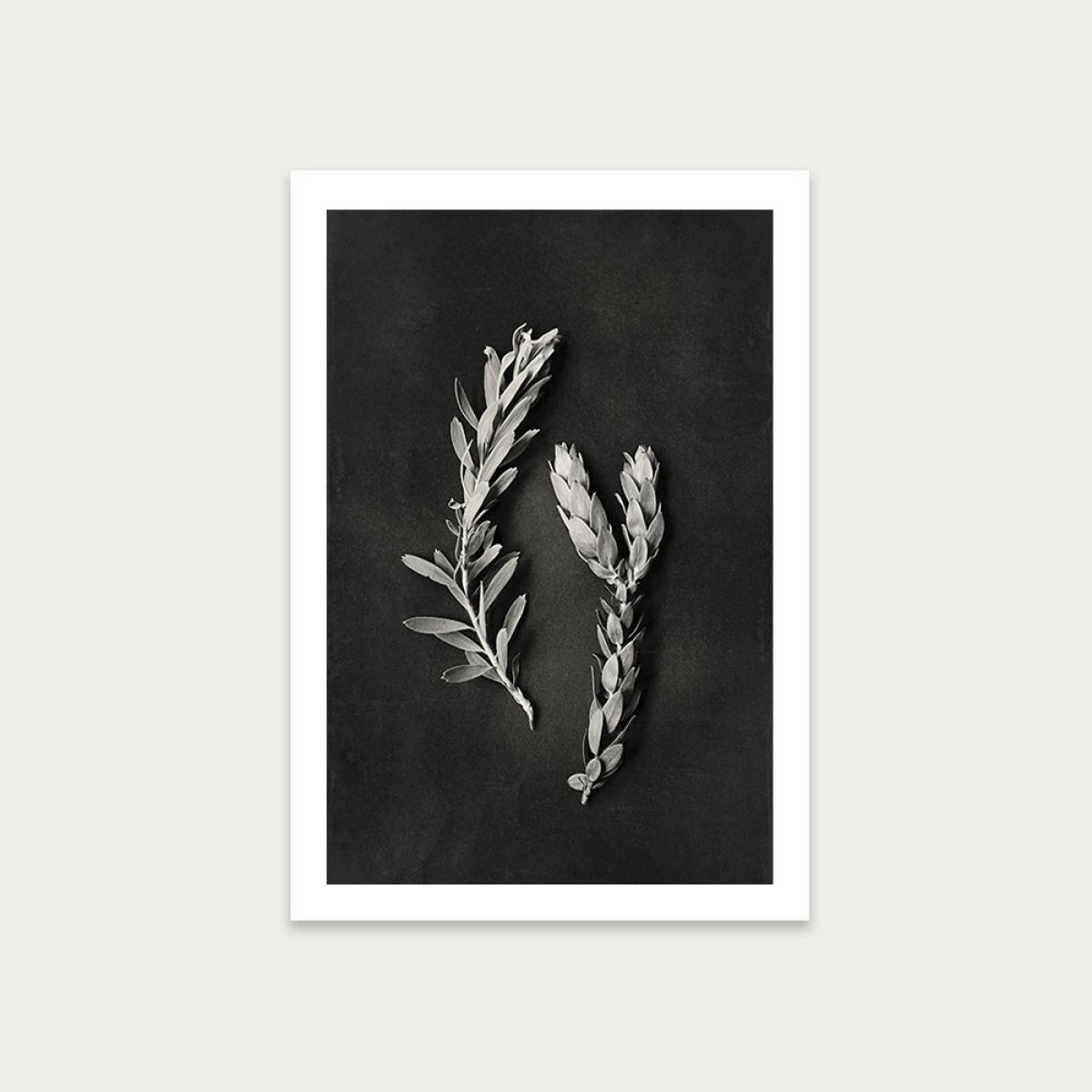 Monochrome Pins 2 Art Print Unframed