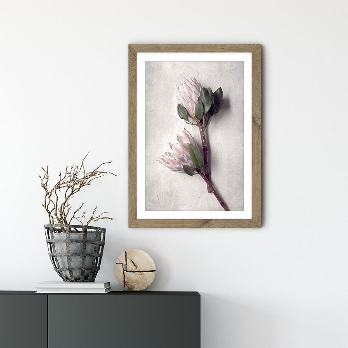 Pale Proteas PT 2 Art Print Oak Frame – image 2
