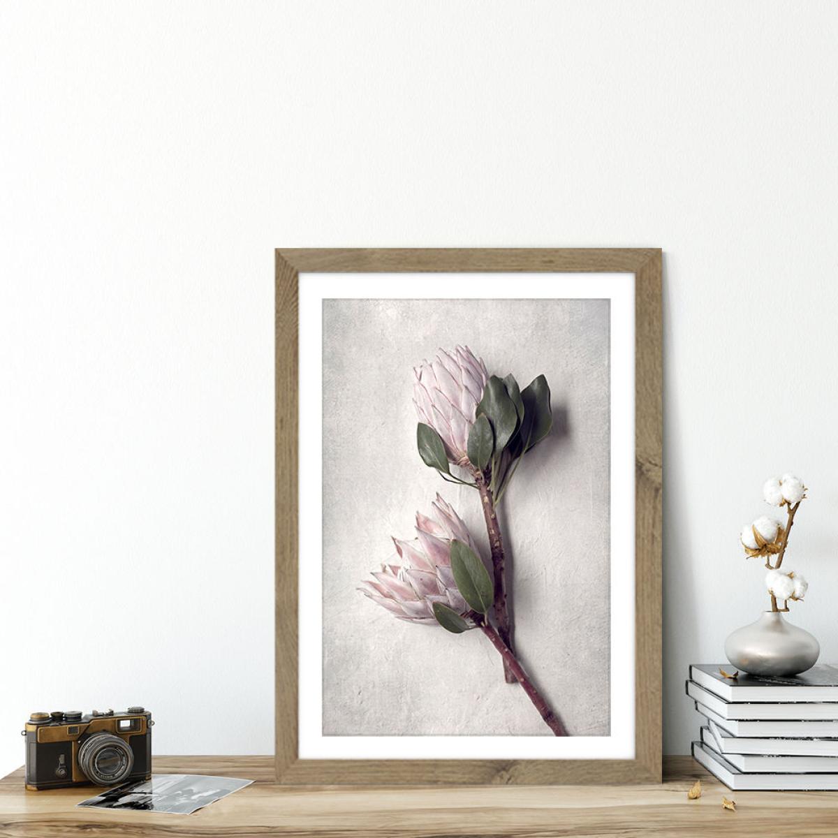 Pale Proteas PT 2 Art Print Oak Frame – image 5