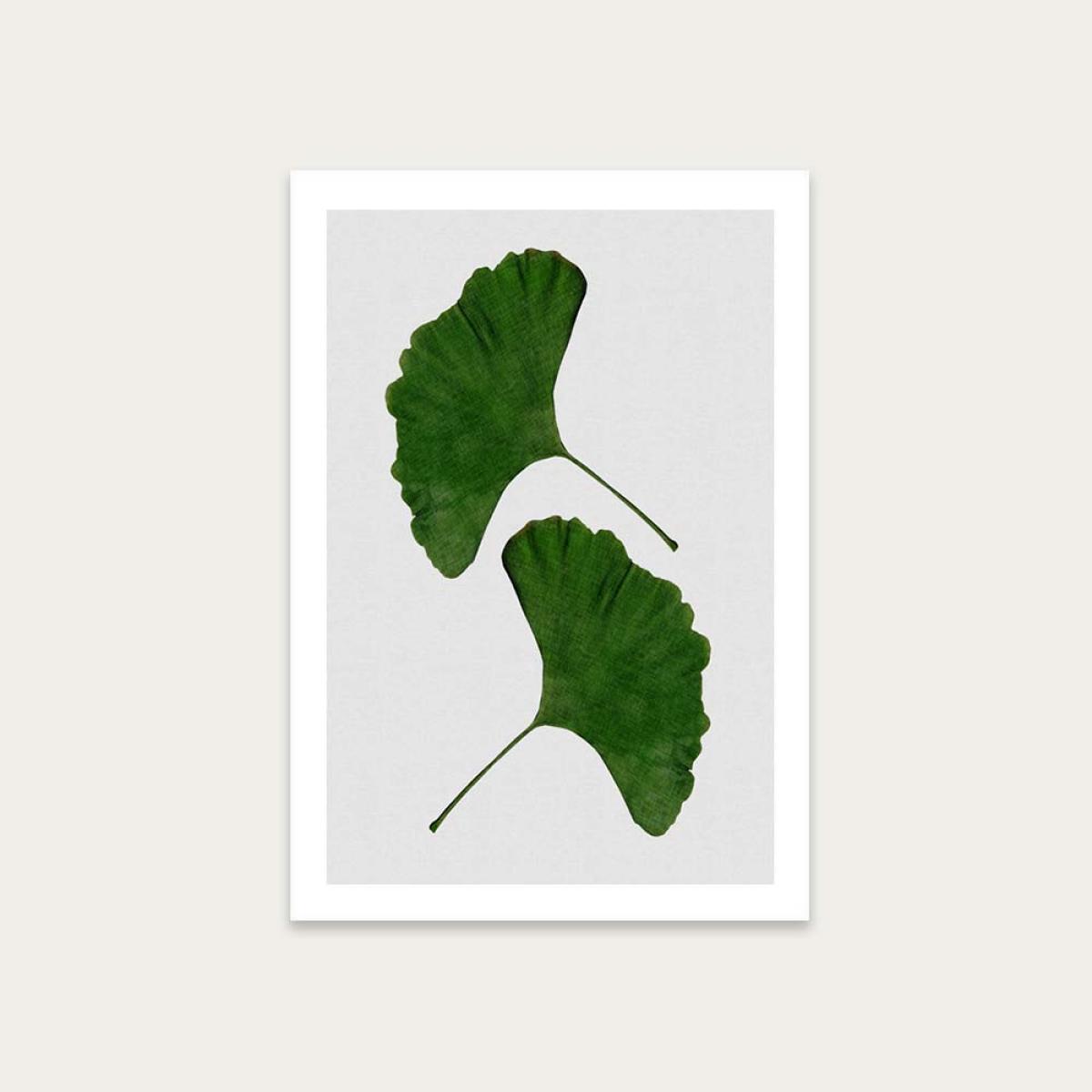 Ginkgo Leaf II Art Print Unframed