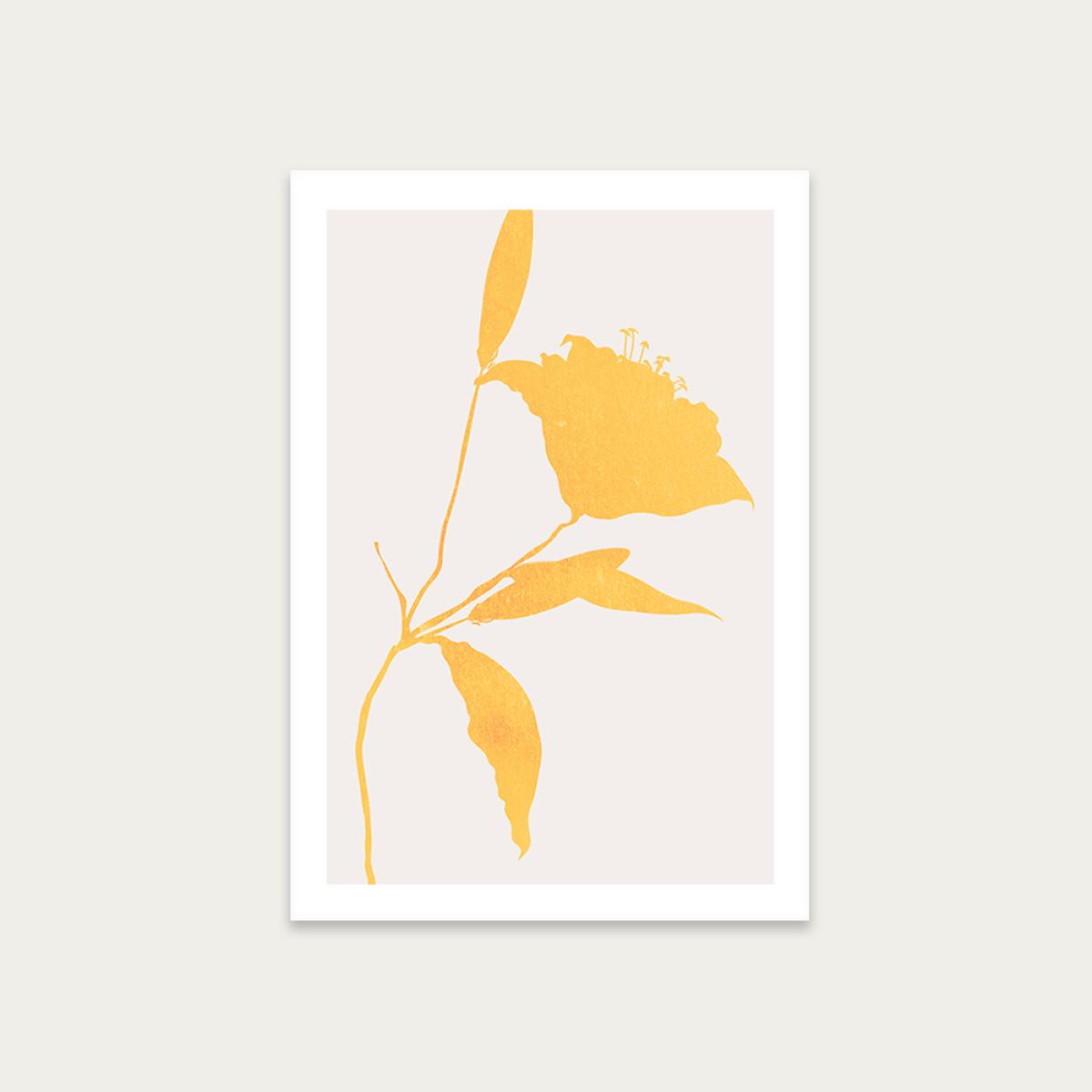 Sunflower Art Print Unframed