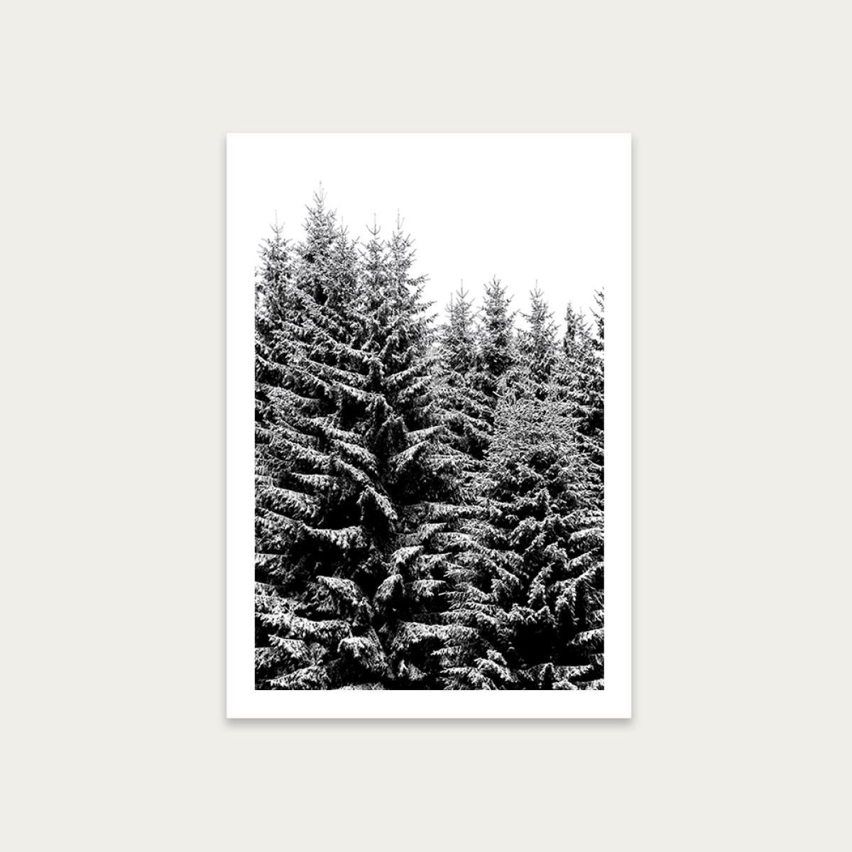 Snowy Christmas Trees Art Print Unframed