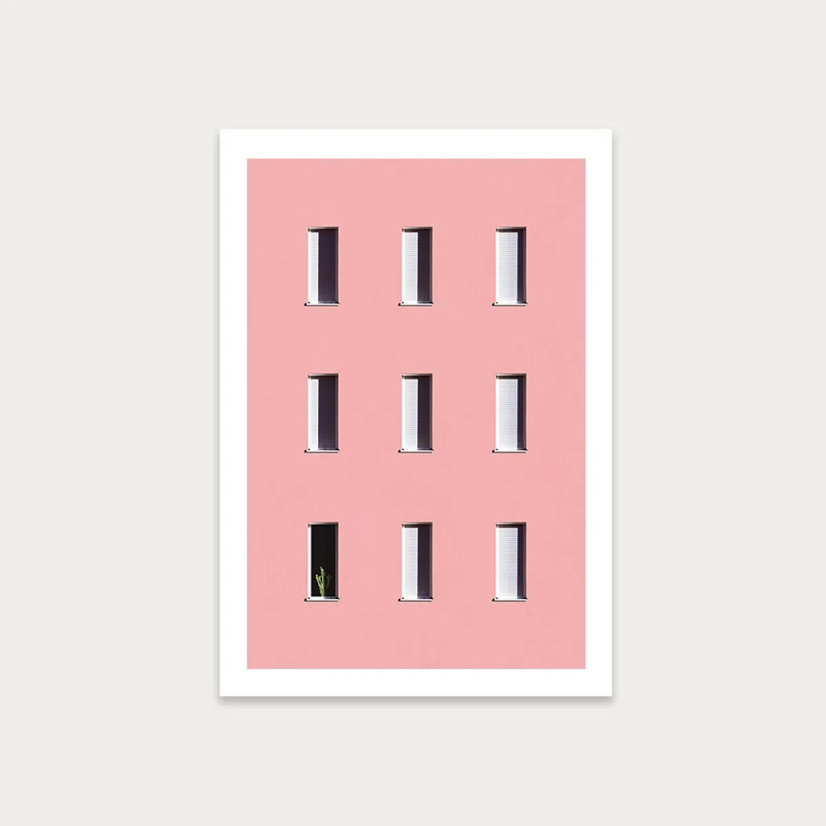 Sunbathing Cactus Art Print Unframed