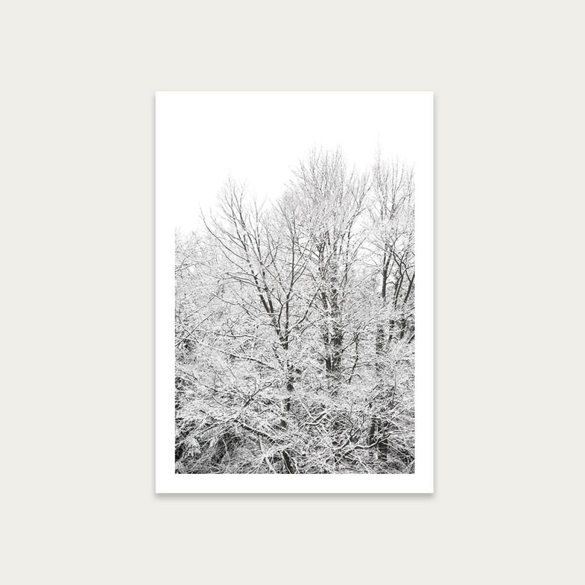 When Green Turns White Art Print Unframed