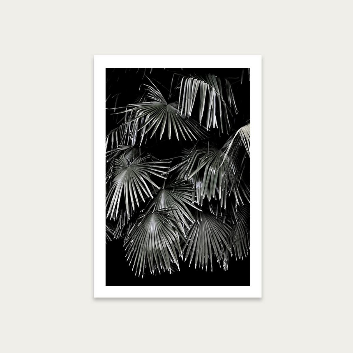 Tropical Garden 5I5 Art Print Unframed