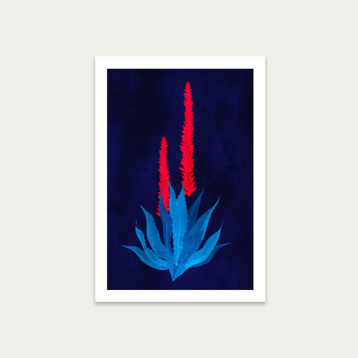 Campanula Purpurea Art Print Unframed