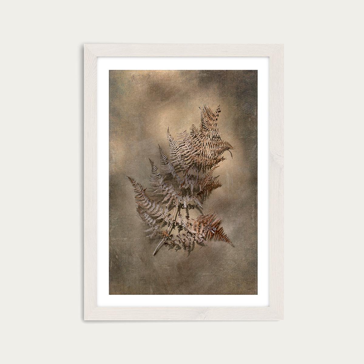 Earthy Ferns 3 Art Print White Frame – image 1