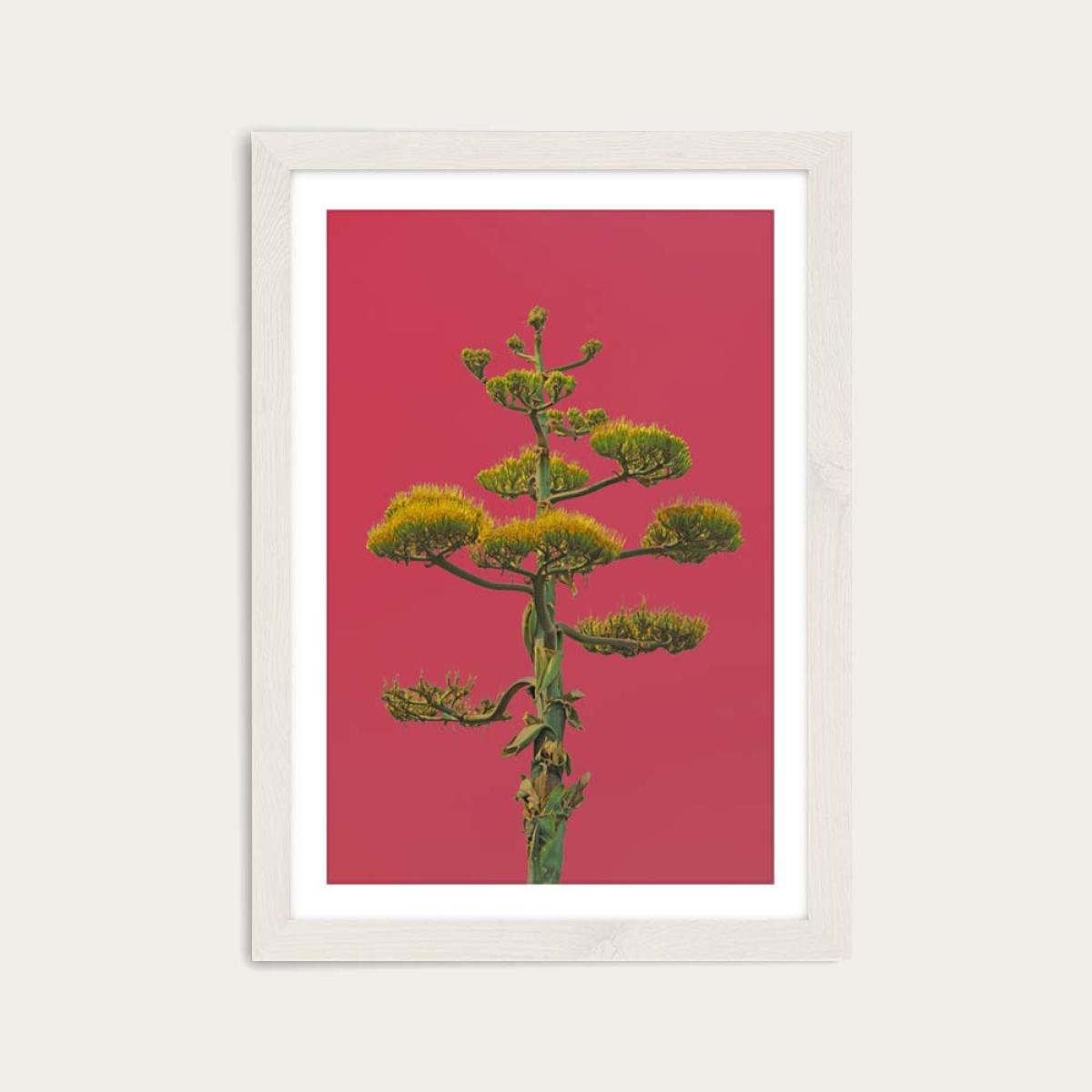 Mexico Art Print White Frame – image 1