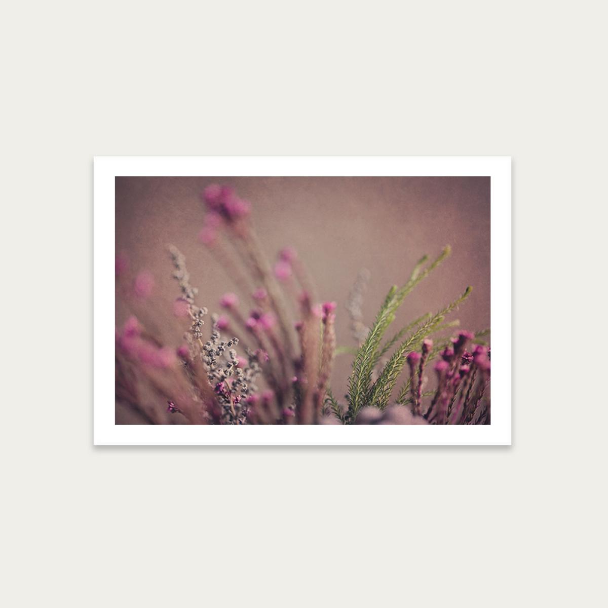 Warm Fynbos 4 Art Print Unframed