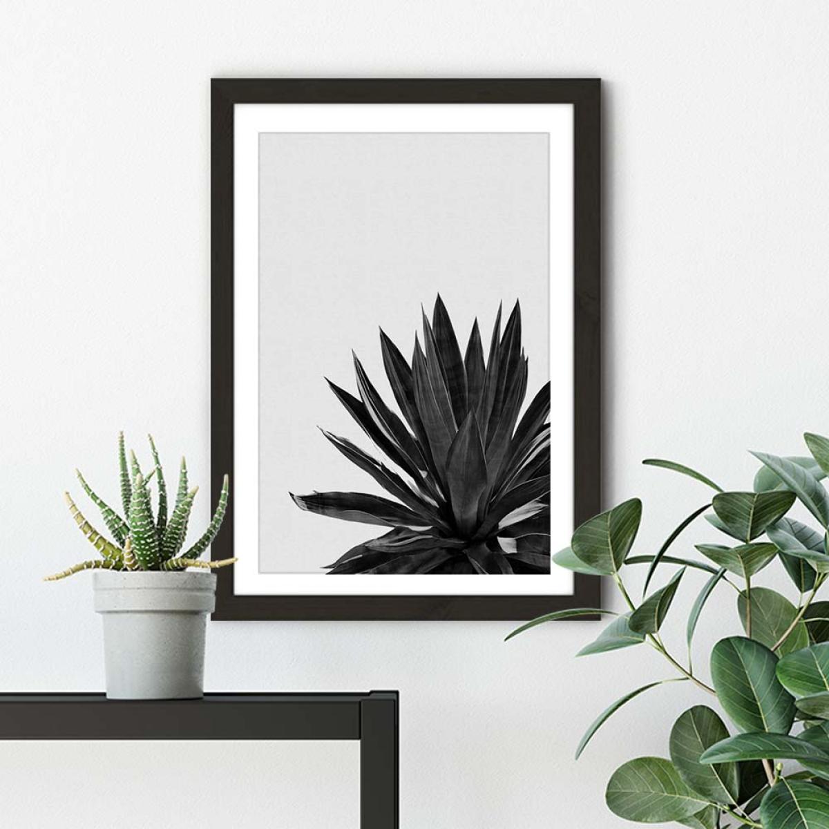 Agave Cactus Black & White Art Print Black Frame – image 5