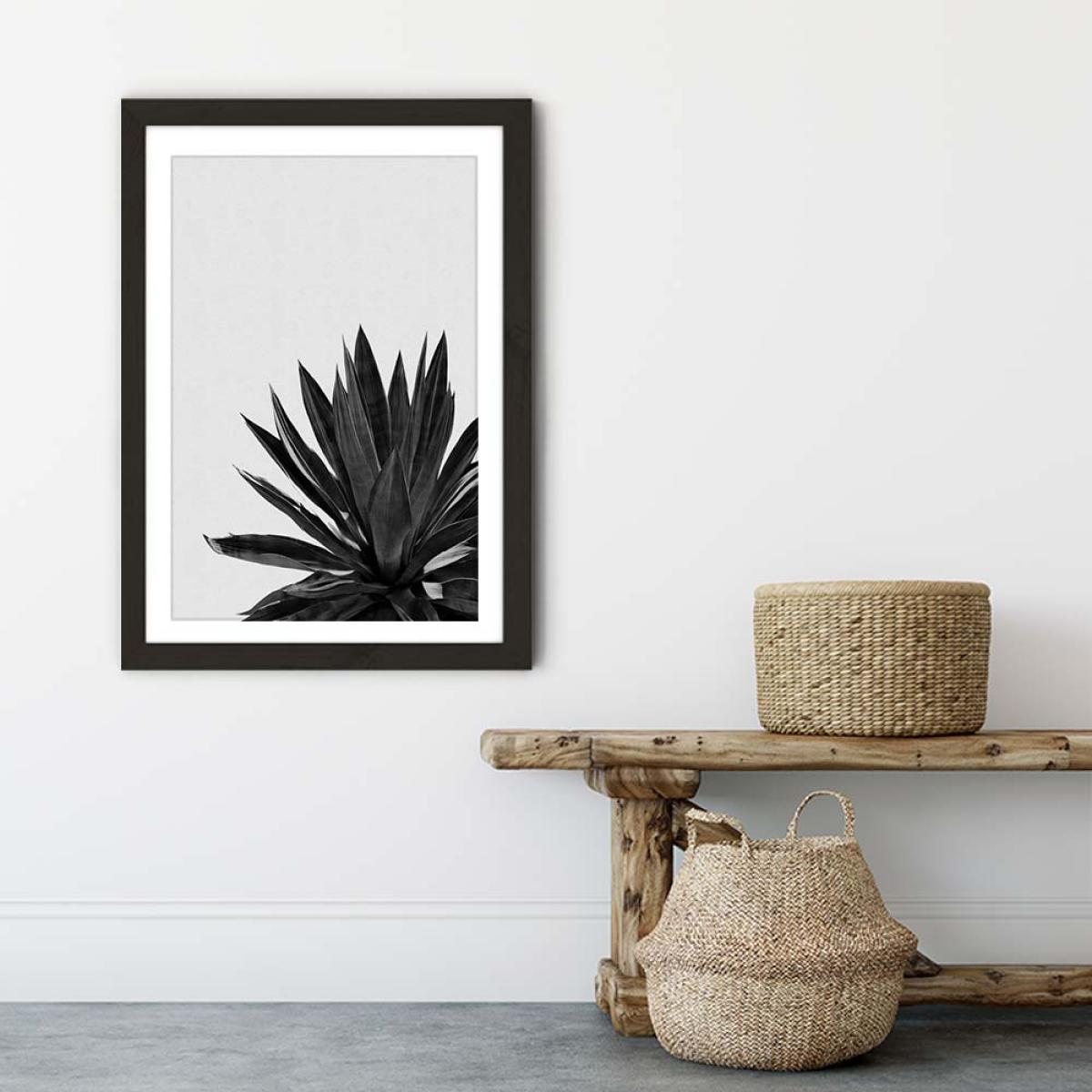Agave Cactus Black & White Art Print Black Frame – image 6