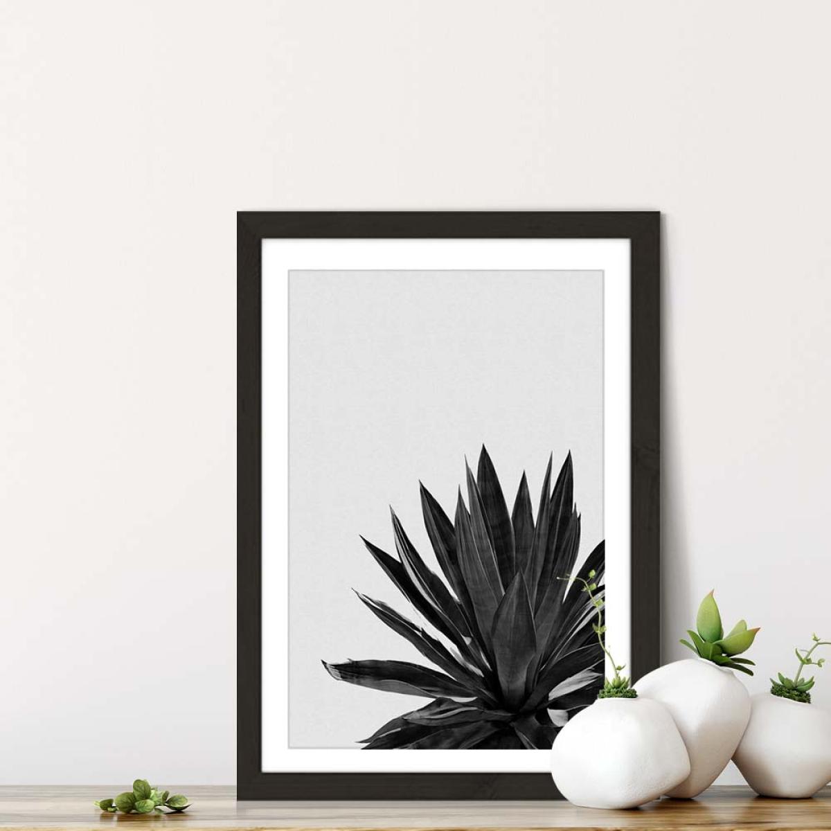 Agave Cactus Black & White Art Print Black Frame – image 7