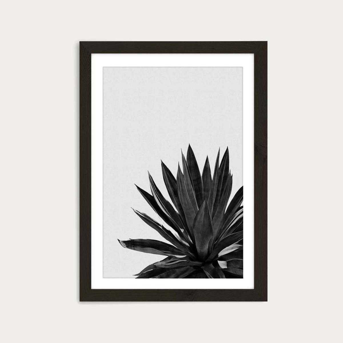Agave Cactus Black & White Art Print Black Frame – image 1