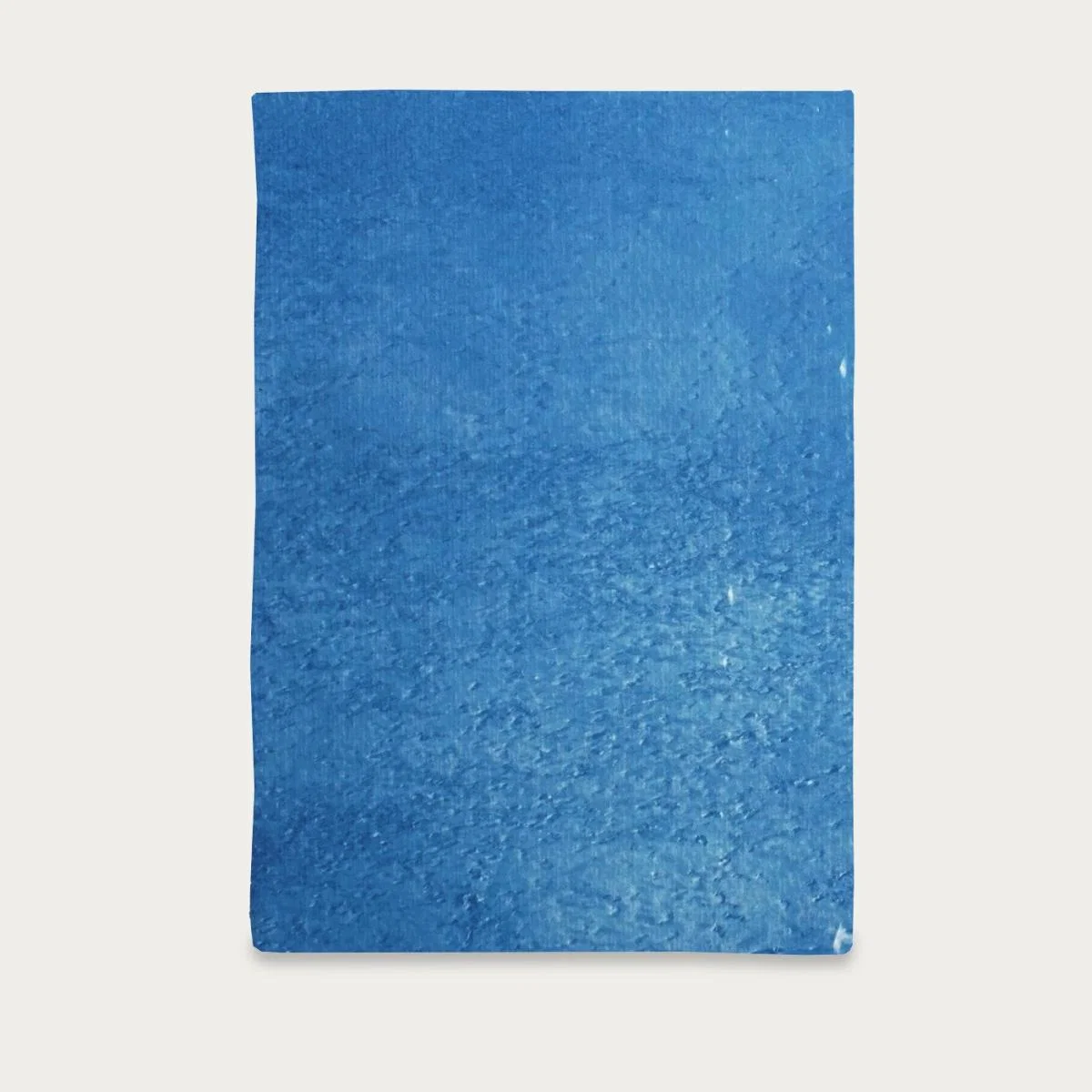 Calm Costa Rica Shore Handmade Cyanotype Art Print – image 7