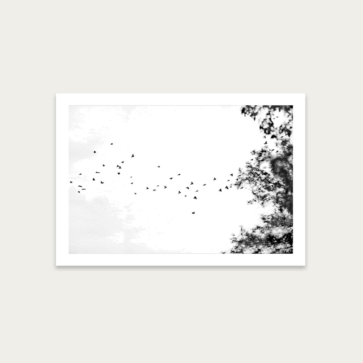 Land Ink 2 Art Print Unframed
