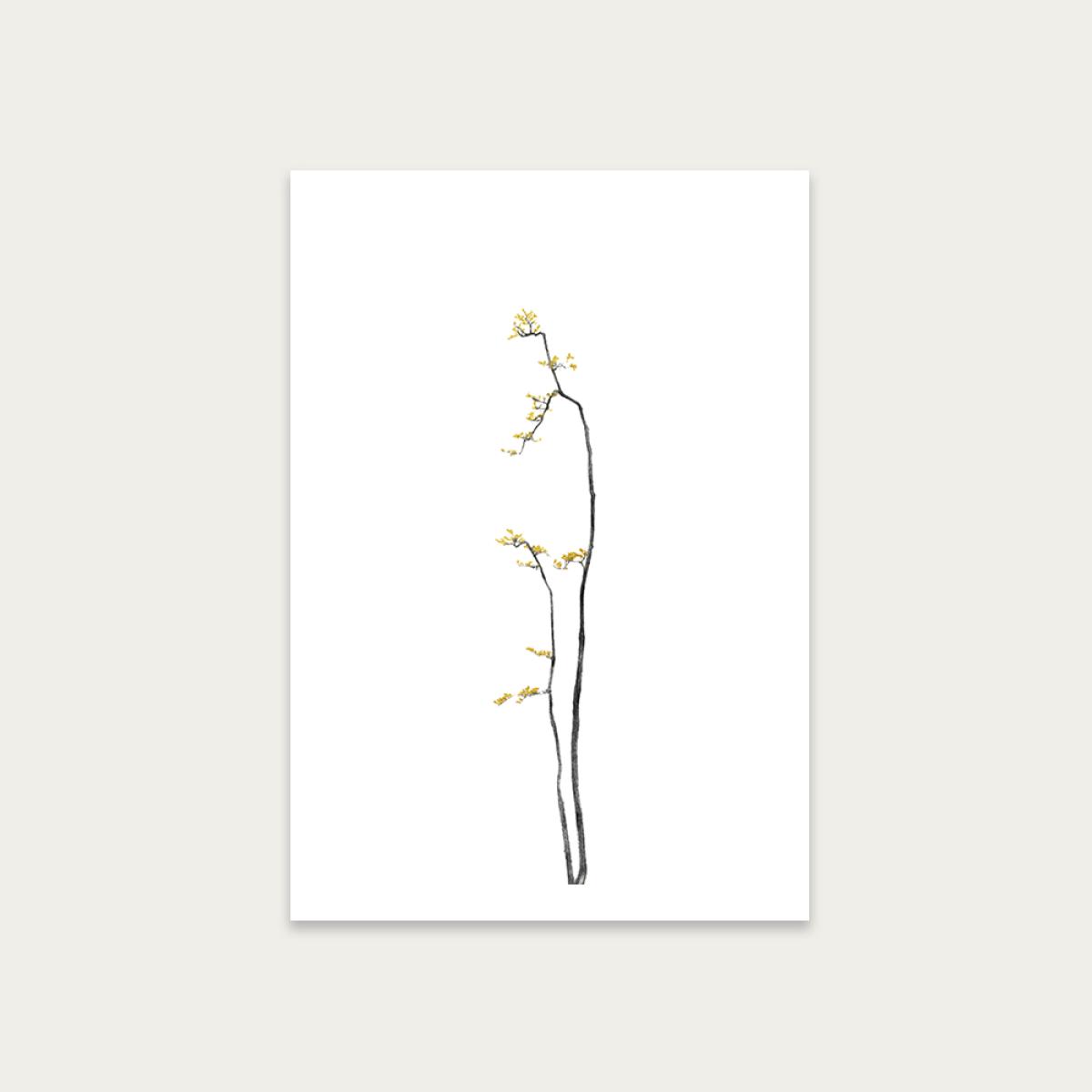 Bonsai Tree 1 Art Print Unframed