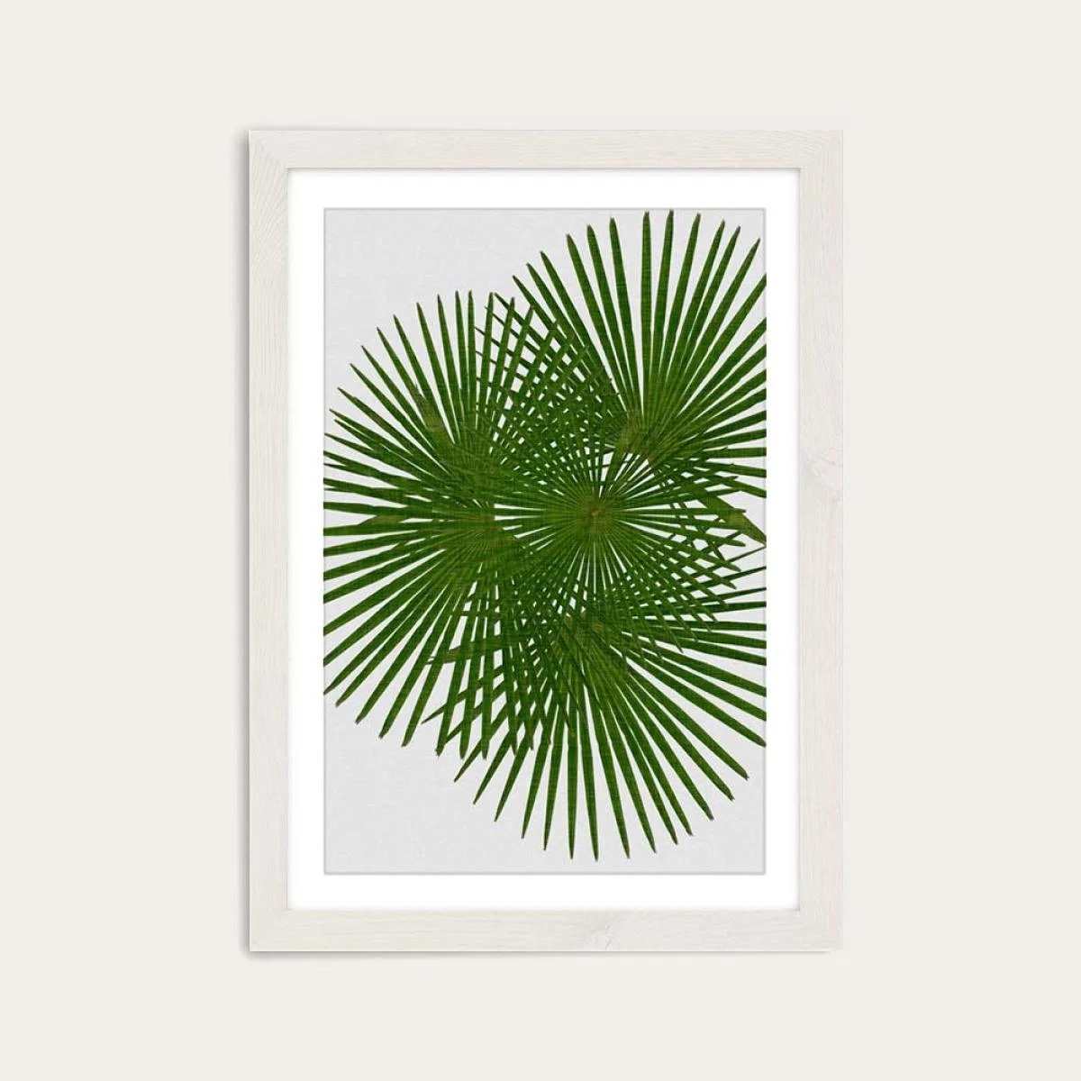 Fan Palm Art Print White Frame – image 1