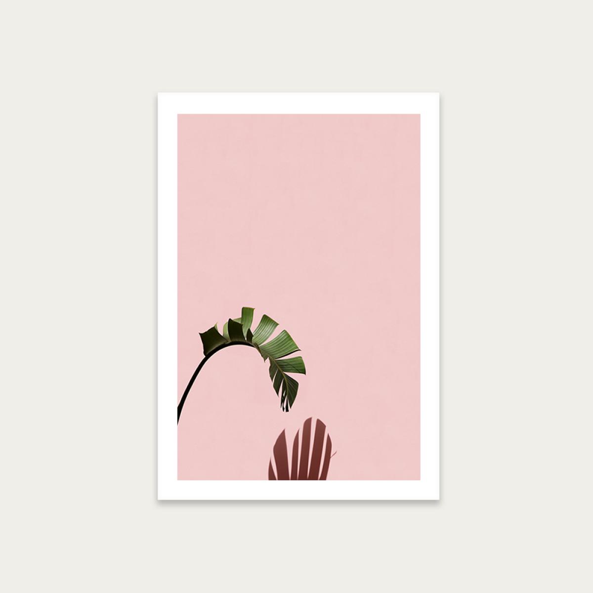 Hanging Out Art Print Unframed