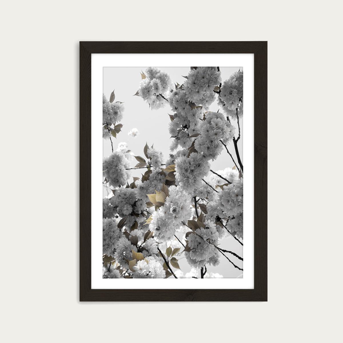 White Spring Blossoms Art Print Black Frame – image 1