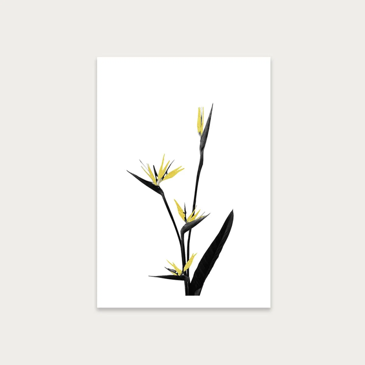 Flower Minimal Black and Gold 5 Art Print Unframed