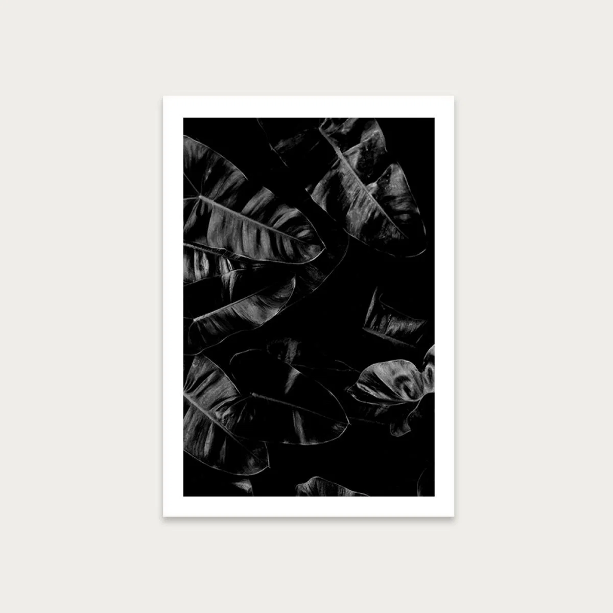 X-Ray No.29 Art Print Unframed