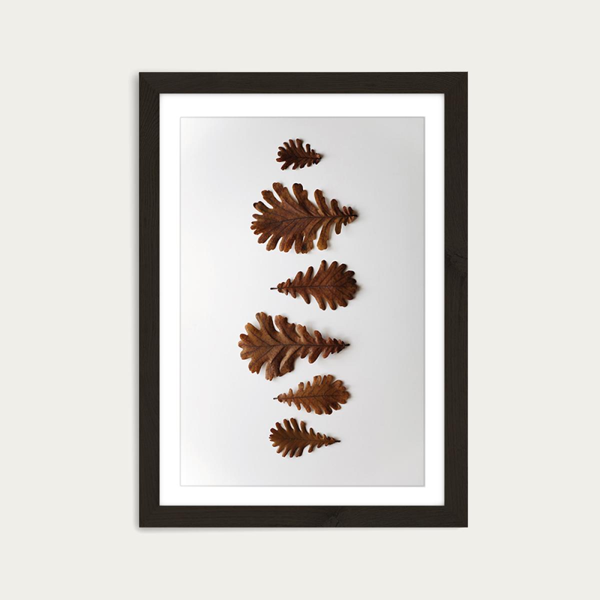 Shapes - Oak Leaf’s Art Print Black Frame – image 1